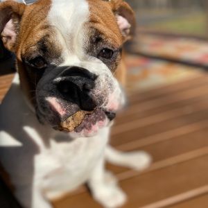 Meet your Posher, Karrie